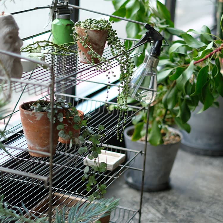 ☆希少☆ peak フォールディングシェルフ シナベニア スノーピーク2024