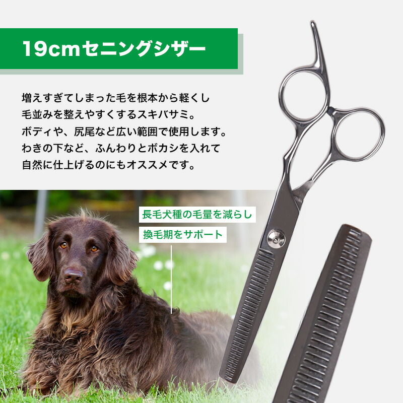 楽天市場】【楽天1位】 トリミングシザー 2本セット 初心者 ステンレス