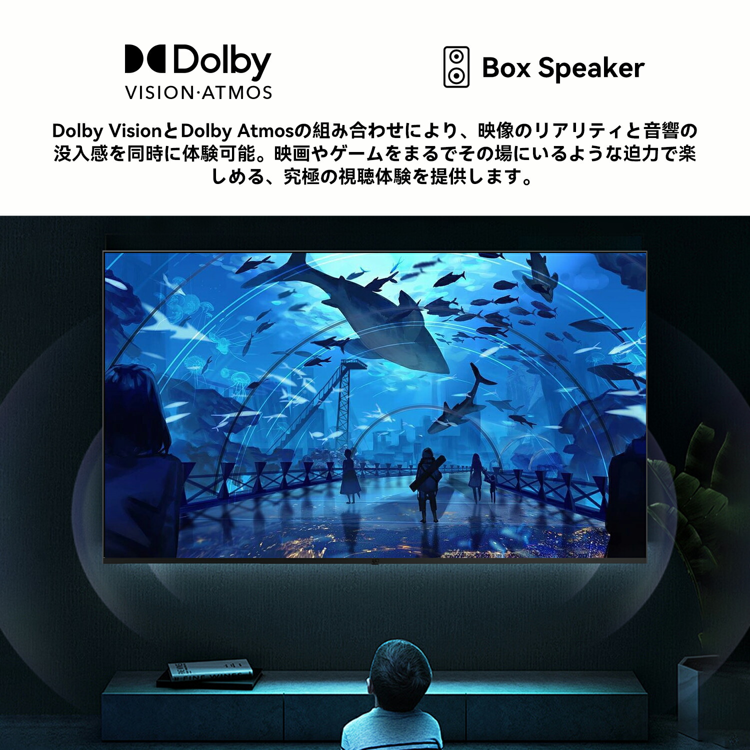 楽天市場】FPD チューナーレステレビ 50V型 4K Google TV ネット動画