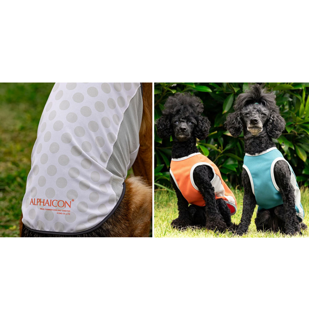 楽天市場】ALPHAICON アルファアイコン ドッグウェア Sサイズ＜サマー