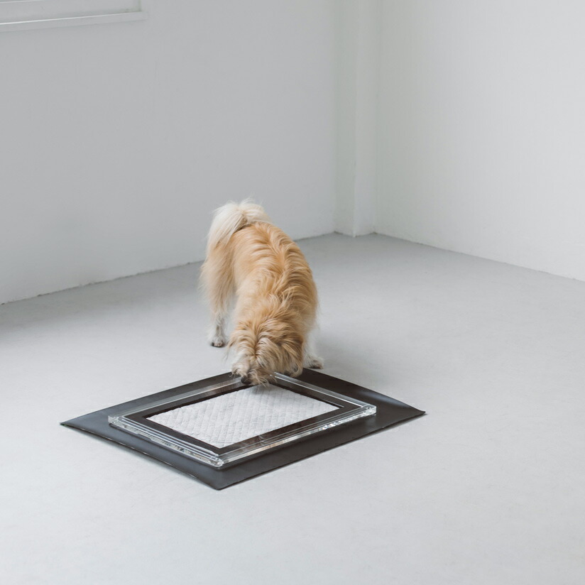 楽天市場】【犬 トイレ】トイレトレイ シート S : フリーステッチ