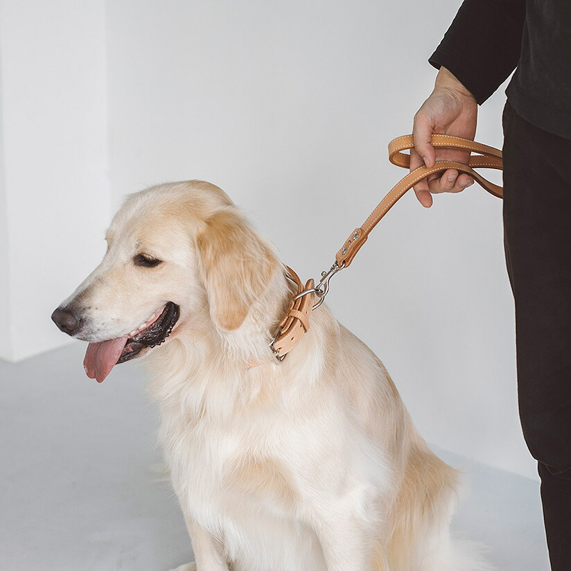 楽天市場】【犬 リード 革】オリジナル ヌメ ショート リ－ド 大型犬犬
