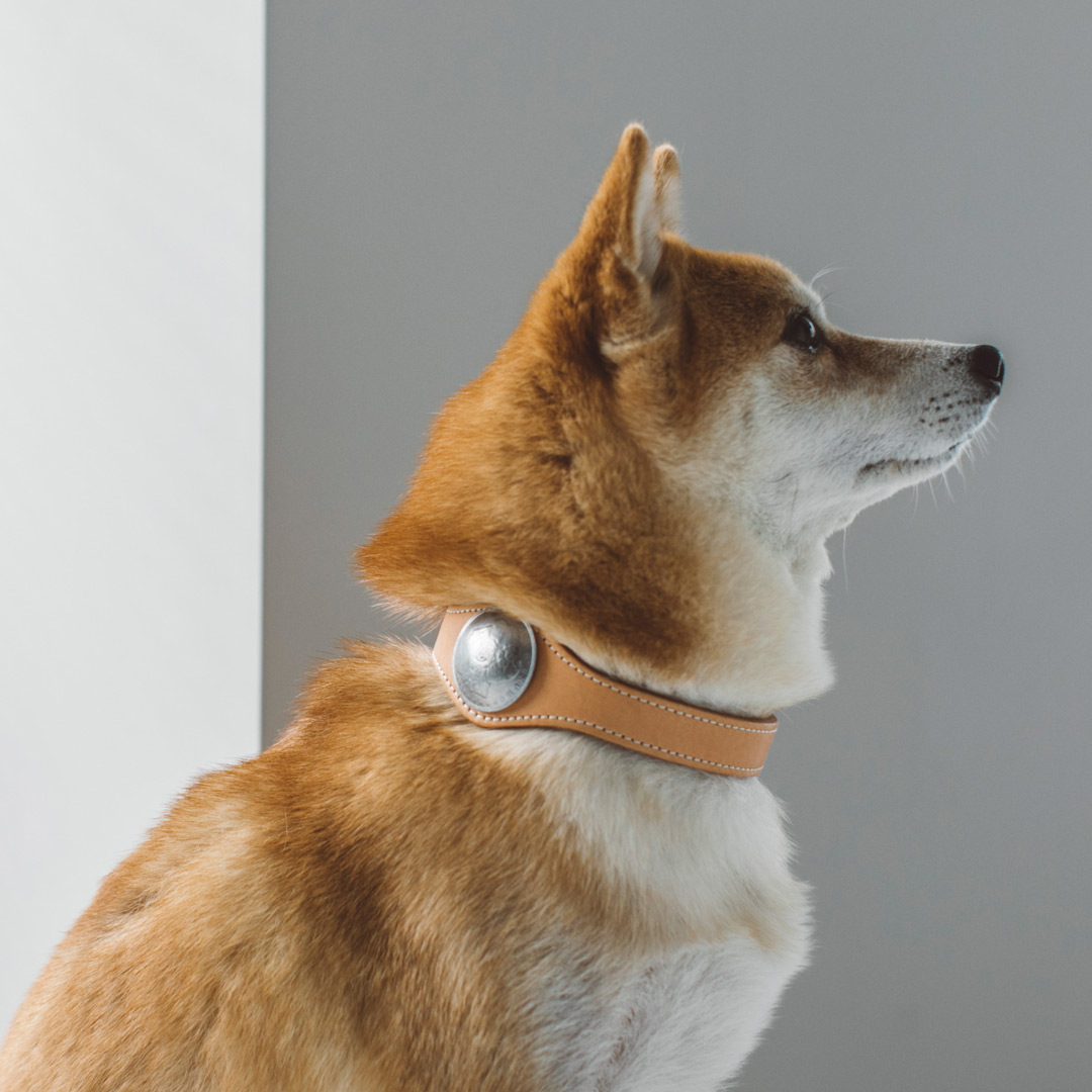 楽天市場】【犬 革 首輪 】オリジナル ヌメ コンチョ カラー L サイズ