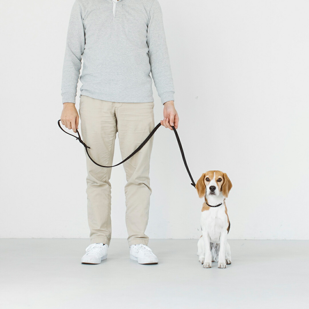 楽天市場】【犬 リード】オイルレザー ブレイド リード L サイズ犬