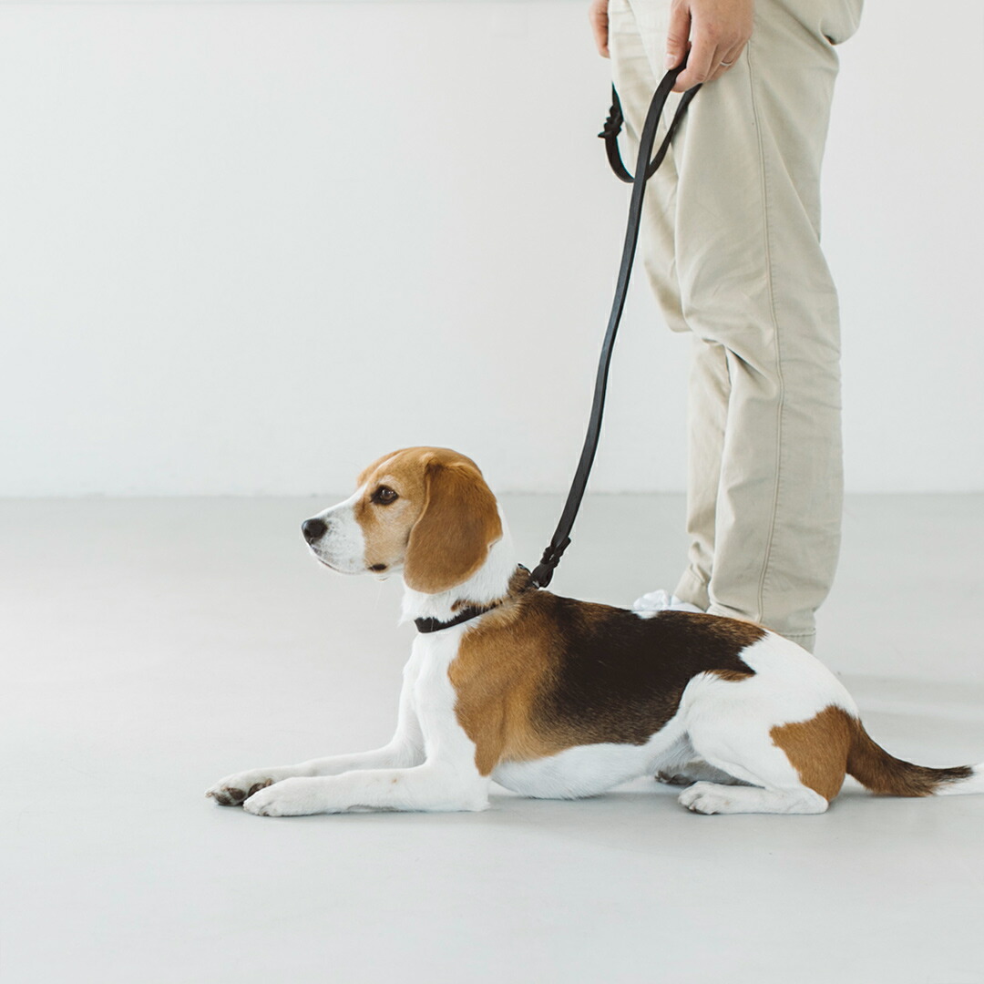 楽天市場】【犬 リード】オイルレザー ブレイド リード L サイズ犬