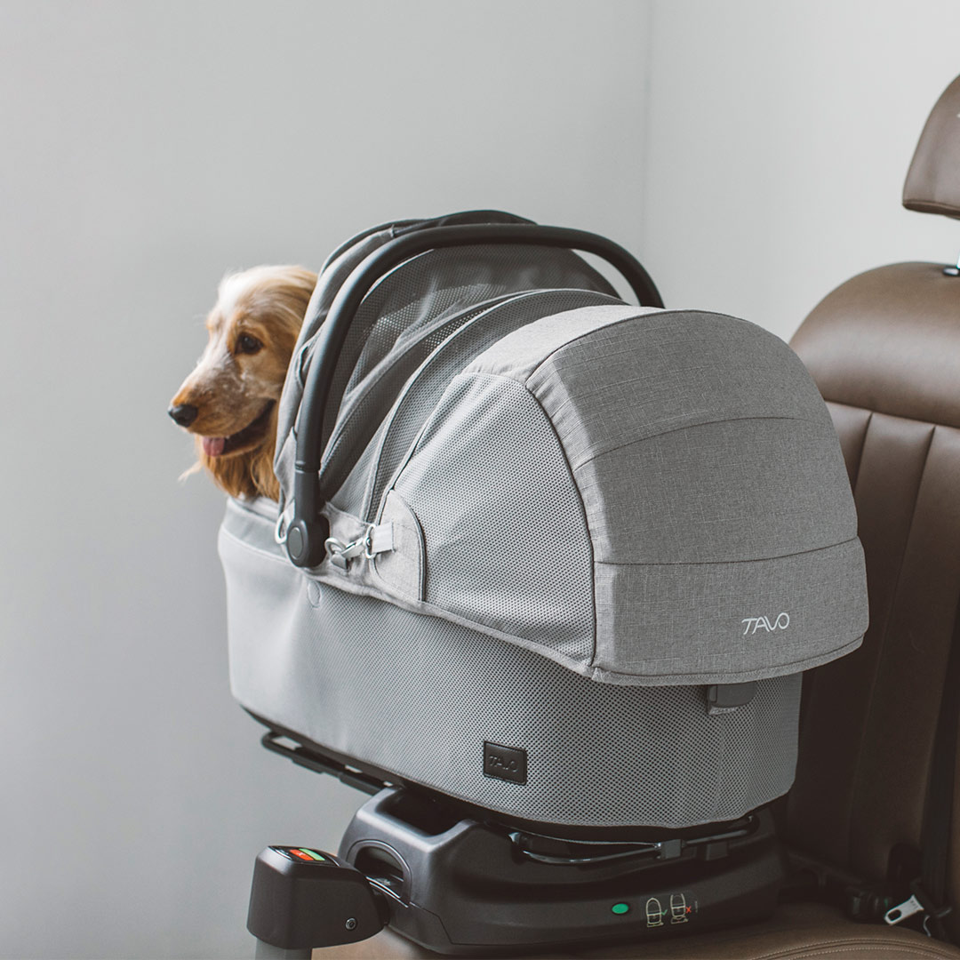 楽天市場】【犬 カート】TAVO Maeve メイブ ＋ ベース 7R(MR)・7X