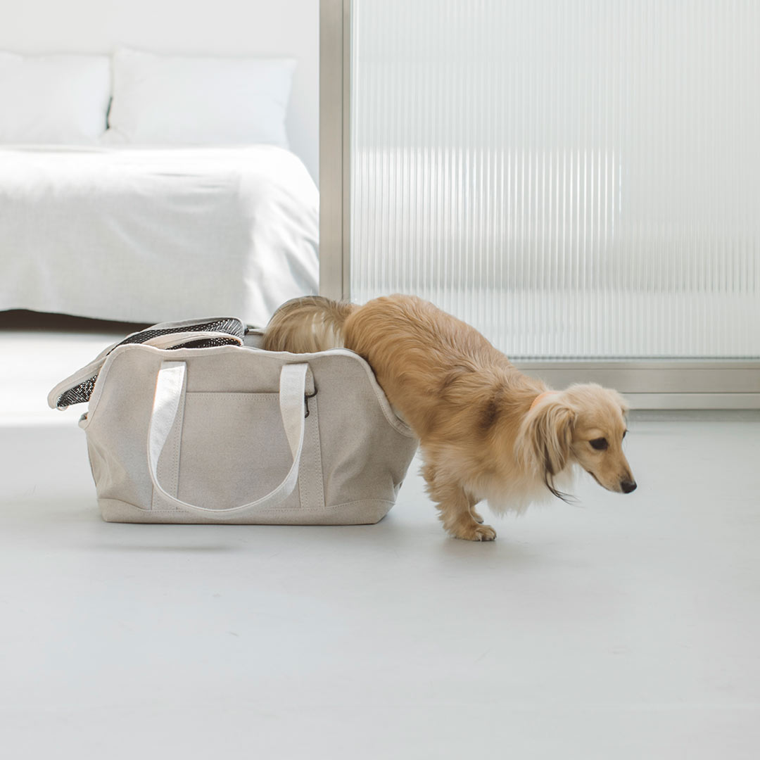 楽天市場】【犬 キャリー】スクエア トート リネン ソリッド S サイズ