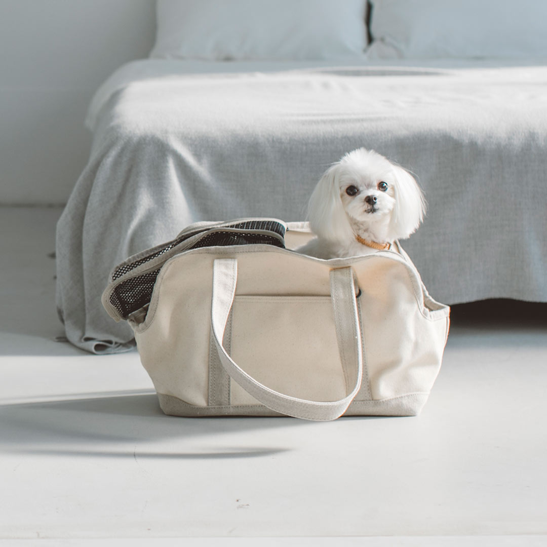 SSOOOK BAG 犬用 キャリーバッグBEIGE Lサイズ SSOOOK BAG 犬用