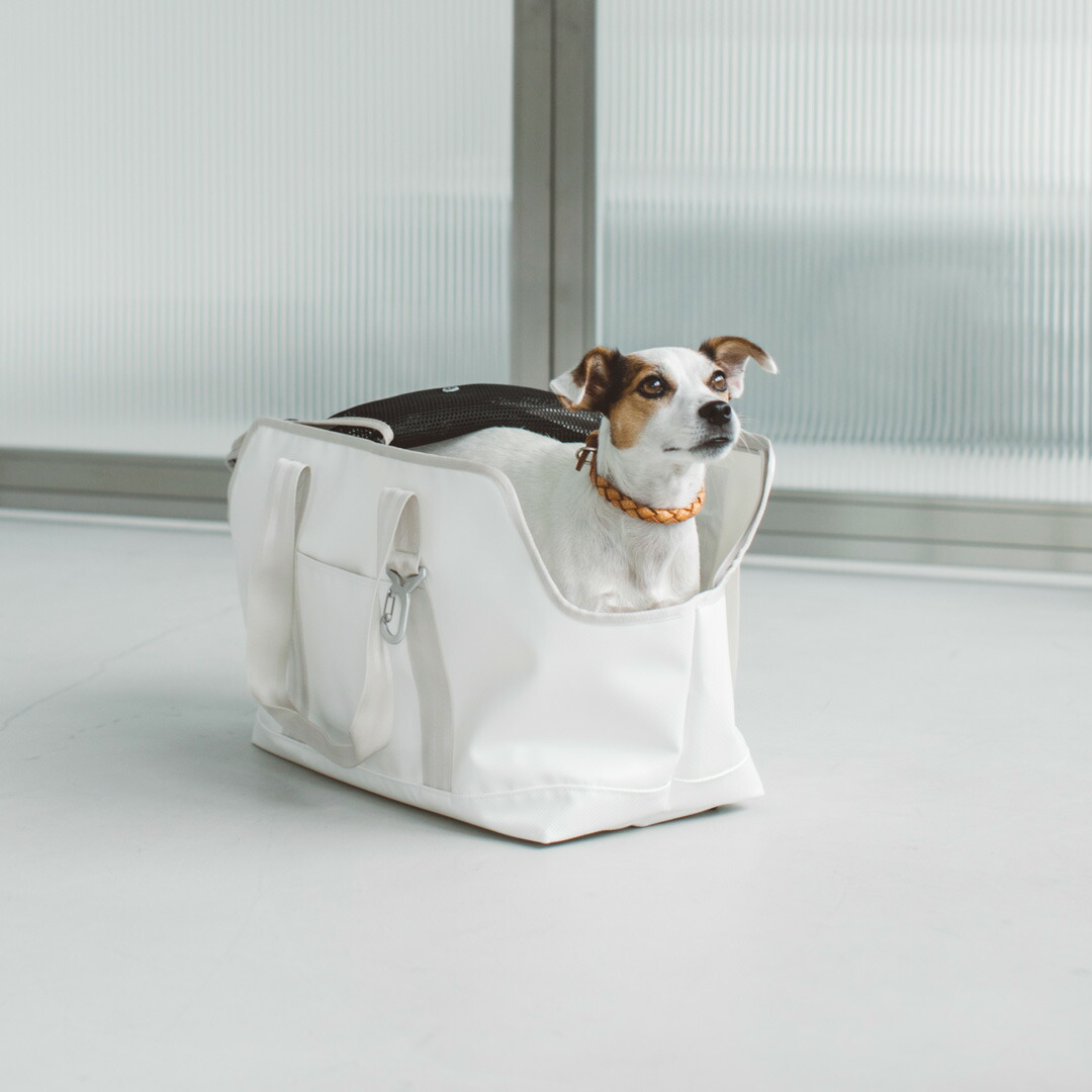 楽天市場】【犬 キャリー】スクエア トート ターポリン L サイズ 犬犬