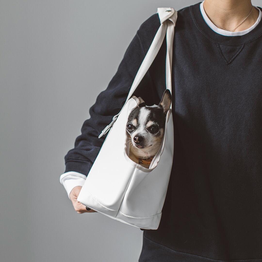 楽天市場】【犬 キャリー】スクエア トート ターポリン S サイズ