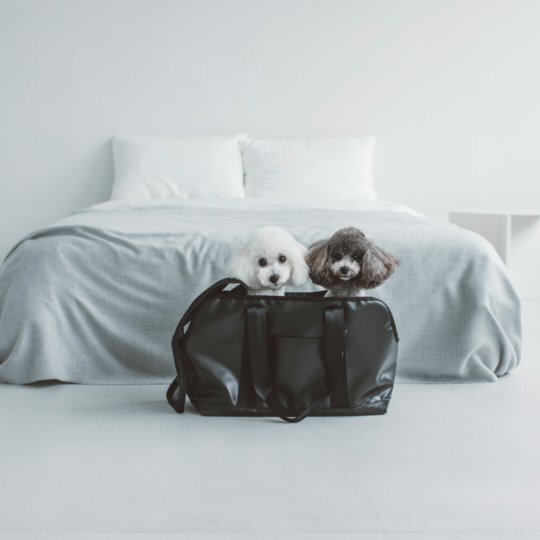 楽天市場】【犬 キャリーバッグ】スクエア トート ターポリン M サイズ