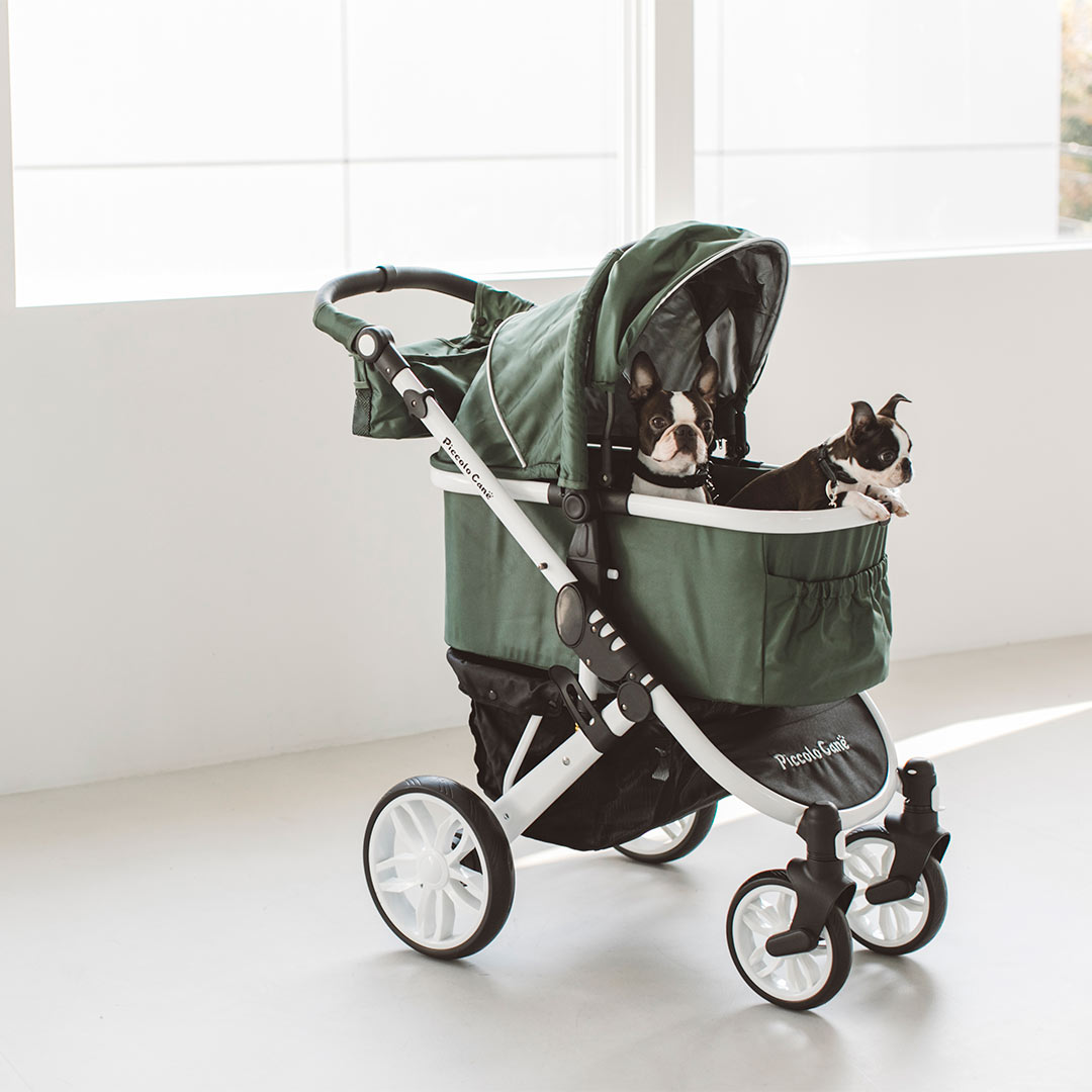 タントスリー Piccolo Cane TANTO3 シャンパンゴールド 【公式通販】