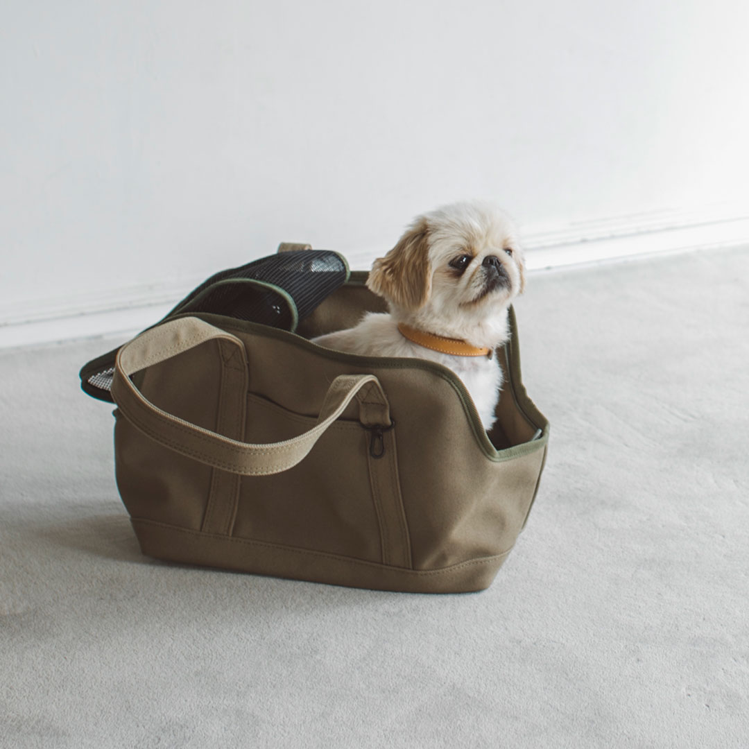 free stitch 人気のスクエアキャンバストートキャリー カーキー LL free stitch 人気のスクエアキャンバストートキャリー カーキー LL