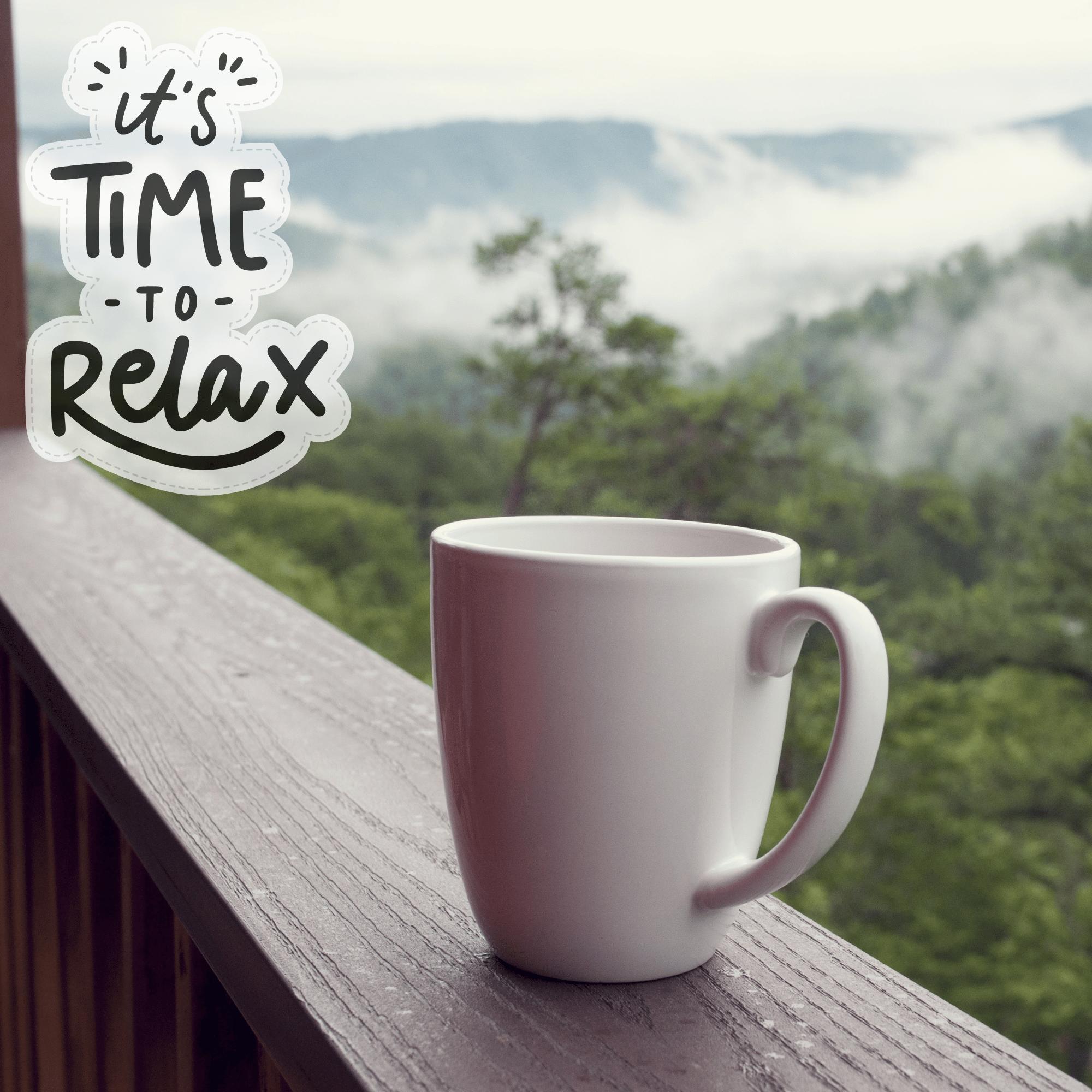 楽天市場】ネスカフェ エクセラ 詰め替え 360g 180杯分 大容量