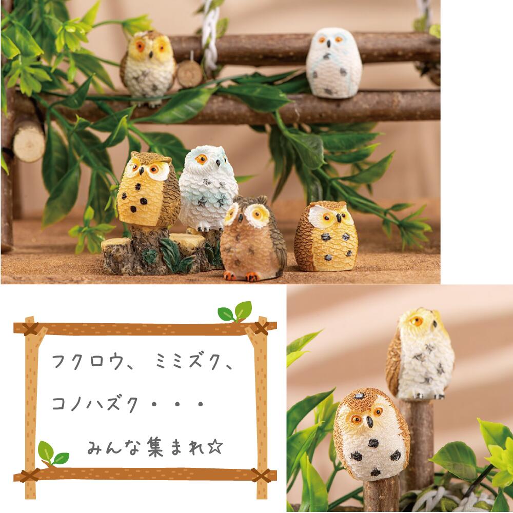 楽天市場】ミニチュアドール 森のふくろう フクロウ 梟 ミニチュア 4羽