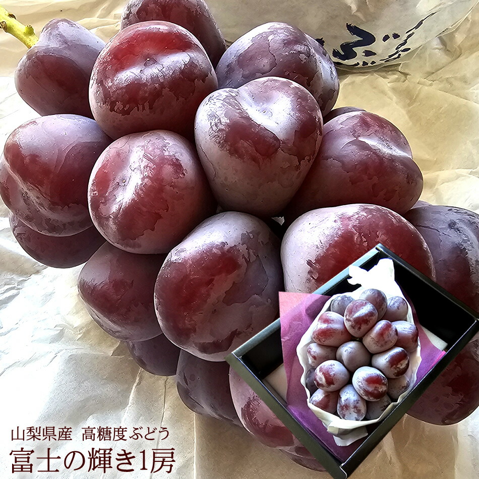 富士の輝き ◾️Fuji様専用です 富士の輝きさま専用 新無処理CTP