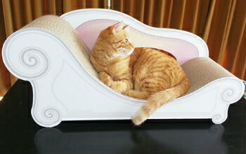 楽天市場】猫家具専門 カリカリーナ 爪とぎソファー アンティーク