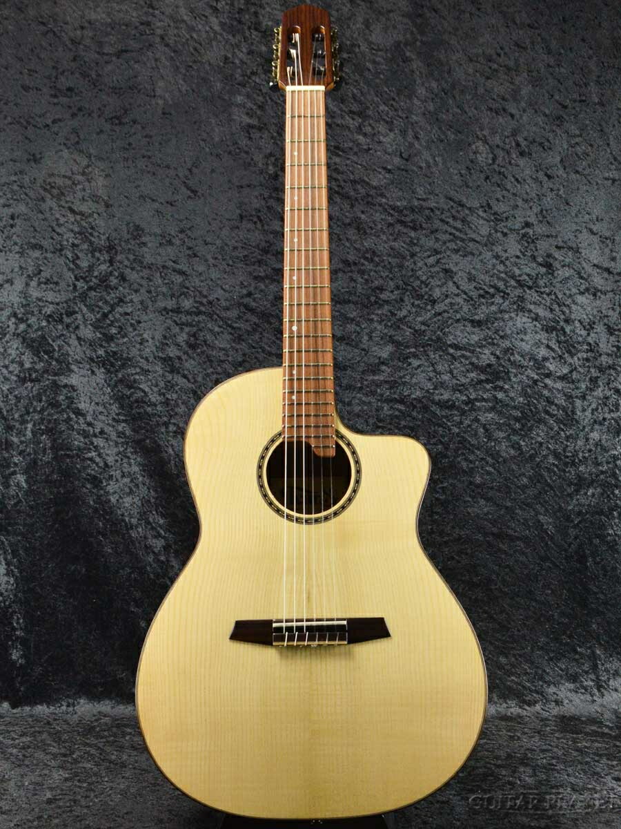 楽天市場】Tears Model F.14 新品[ティアーズ][スペイン製][Classical