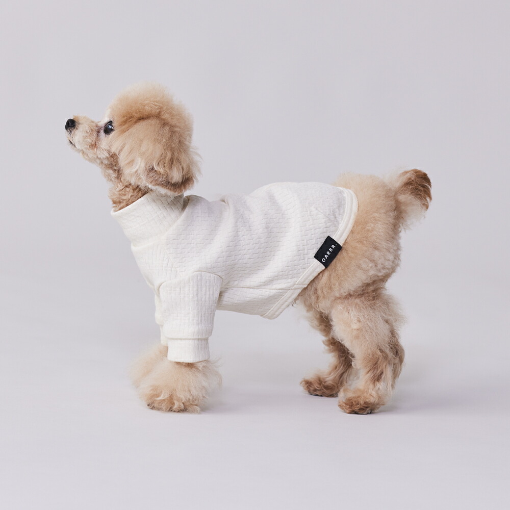 犬服・アクセサリー AY61 犬服・アクセサリー AY61 犬服・アクセサリー