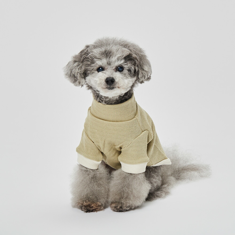 楽天市場】【SALE】グンゼ ドッグウェア 小型犬 綿100% ピササーマル