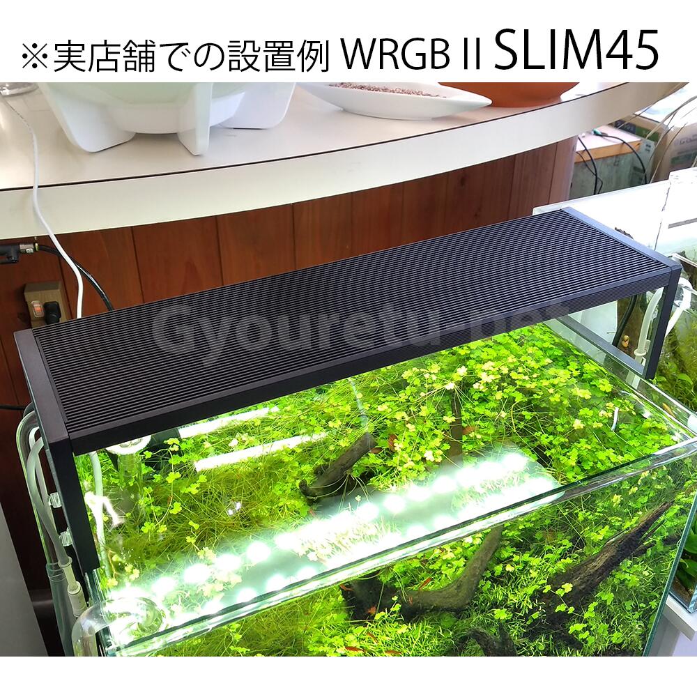 楽天市場】Chihiros（チヒロス）千尋 WRGB2 SLIM 60 適合水槽サイズ60