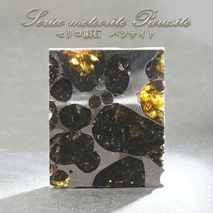 ケニア産セリコで発見 パラサイト隕石石鉄隕石