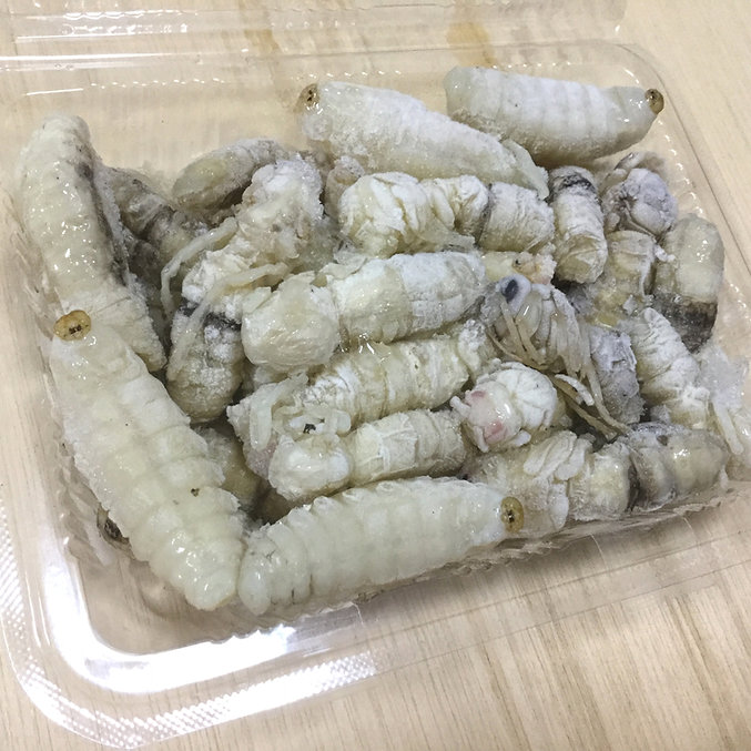 蜂の子。オオスズメ蜂。冷凍餌 真空パック500㌘✕4個 合計2kg