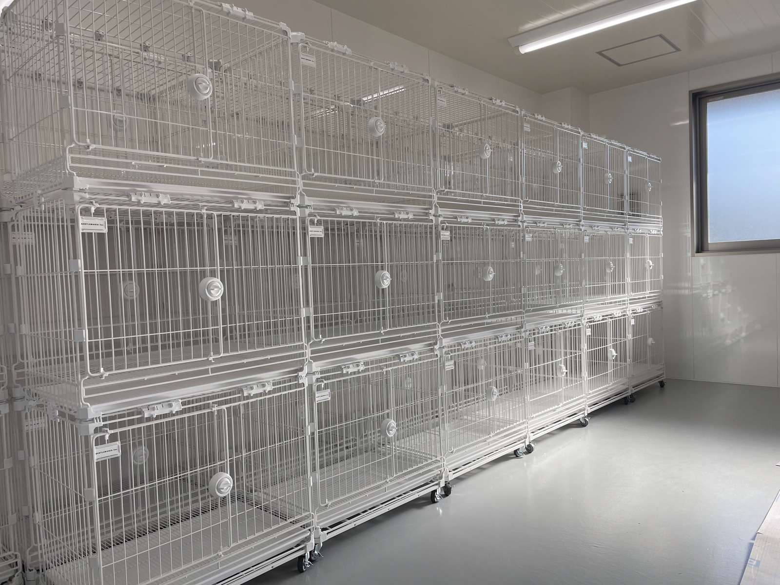 楽天市場】中サイズ 重ねられるケージ(組み立て済み完成品) 正規品 犬