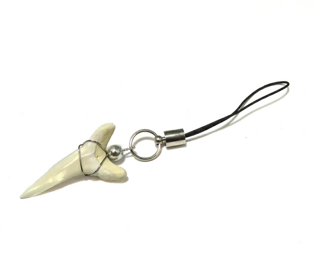 楽天市場】ストラップ サメ牙 サメ歯 (青サメ) 開運祈願 漁業のお守り