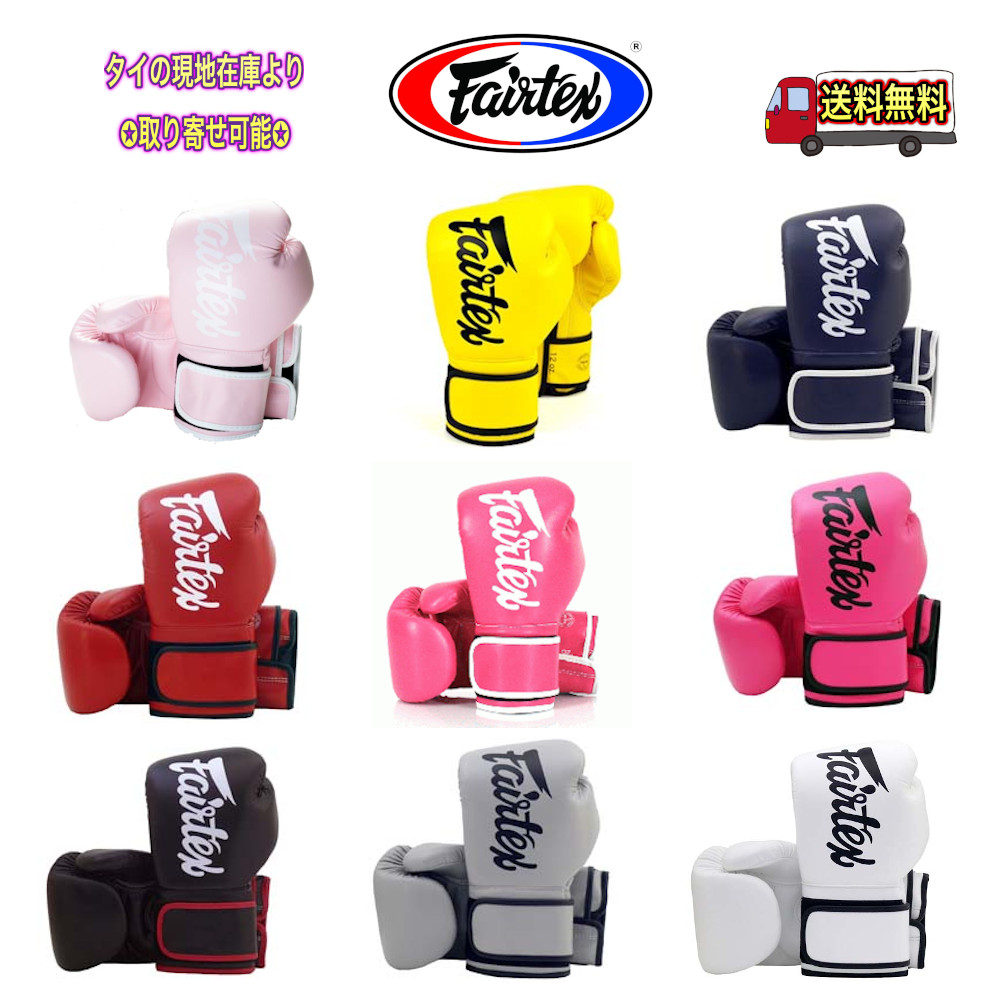 Fairtex フェアテックス グローブ 10 タイ現地正規店購入品 Fairtex