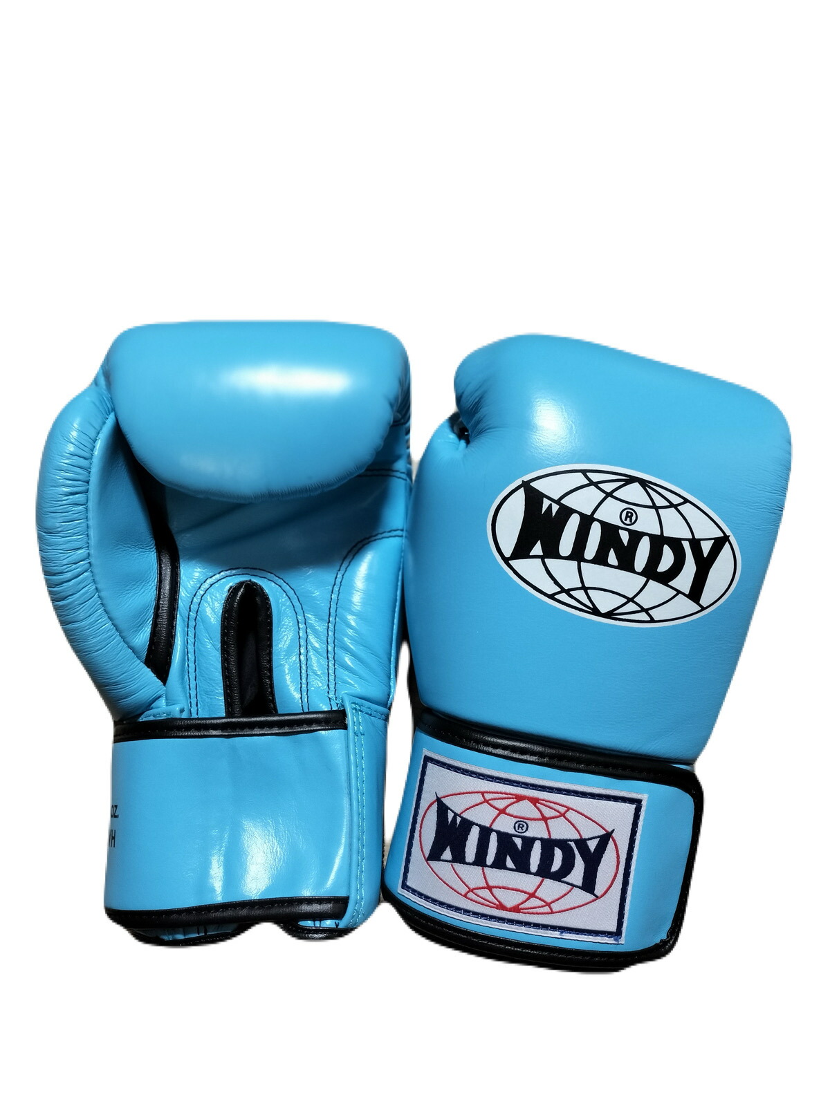 楽天市場】グローブ 8oz windy（格闘技・武術｜スポーツ・アウトドア