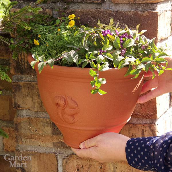 楽天市場】Whichford ウィッチフォード 植木鉢 壁掛け スクワール