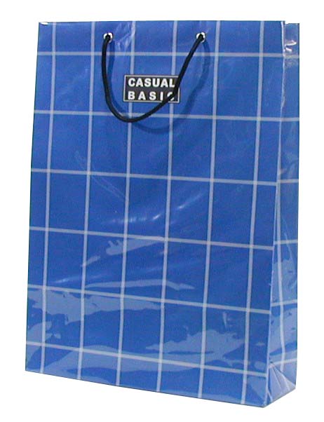 楽天市場】LPデラックス 手提げ紙袋 ビニール被せ紙袋 丸玉工業 ラクス