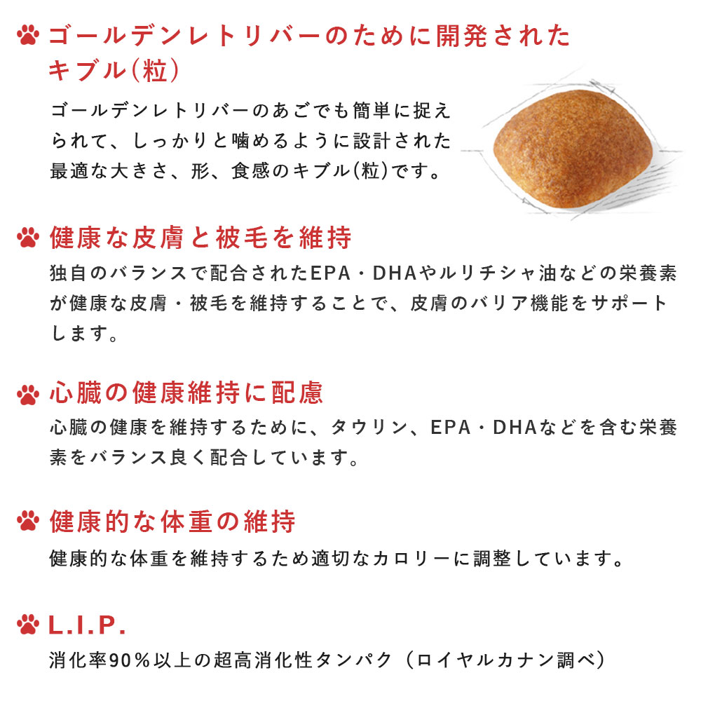 楽天市場】【賞味期限2026/7/6】ロイヤルカナン ゴールデンレトリバー