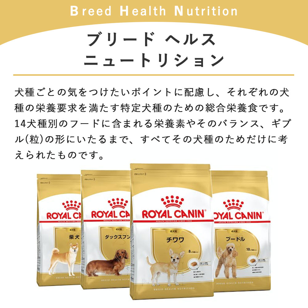 楽天市場】ロイヤルカナン 柴犬 8kg 成犬用 中型犬用 生後10カ月齢〜8