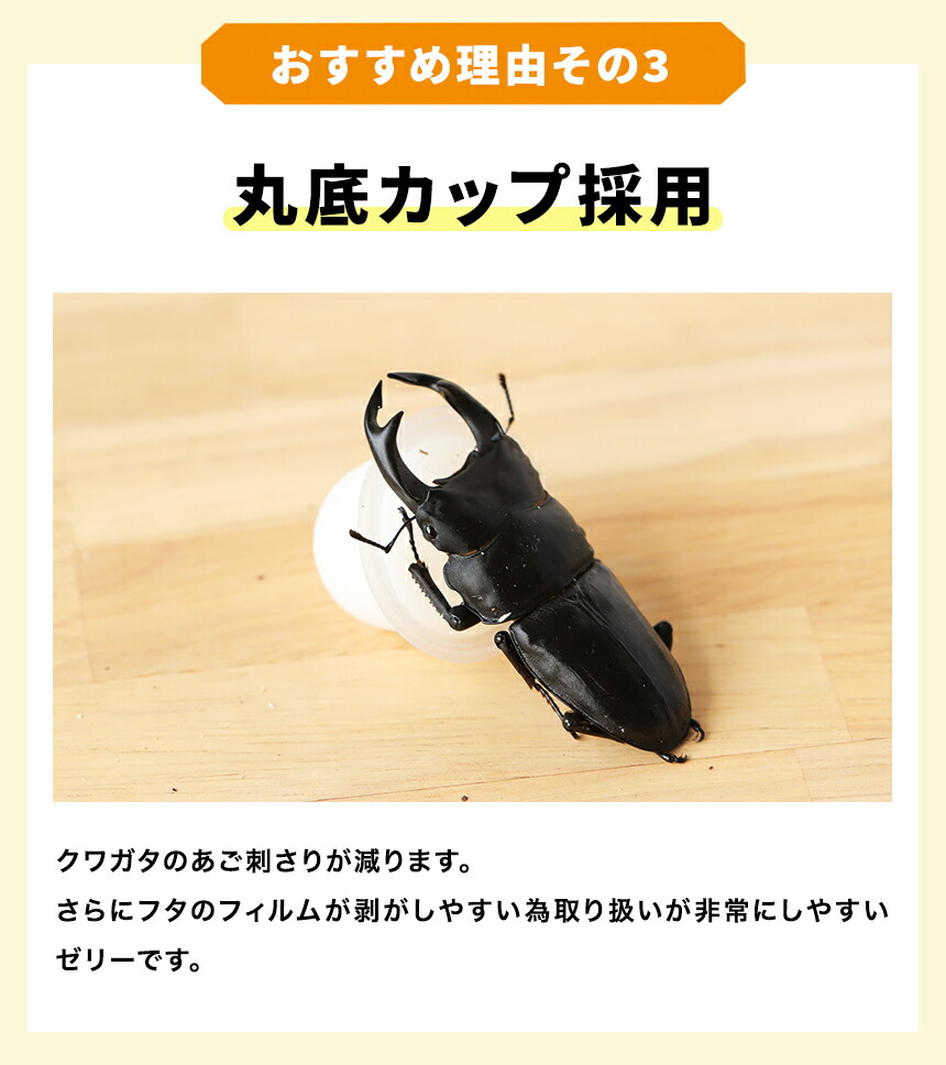 楽天市場】むしや本舗 食いつき抜群! プロゼリー（KBファーム社製）純