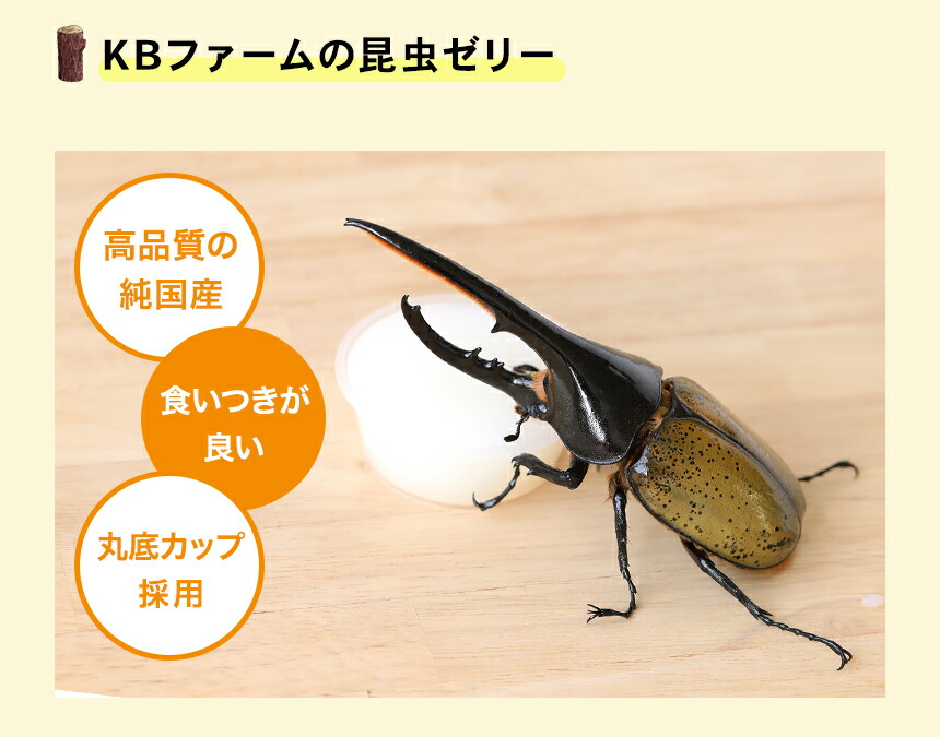 送料無料 KBファーム プロゼリー 16g 1500個 純国産 昆虫ゼリー