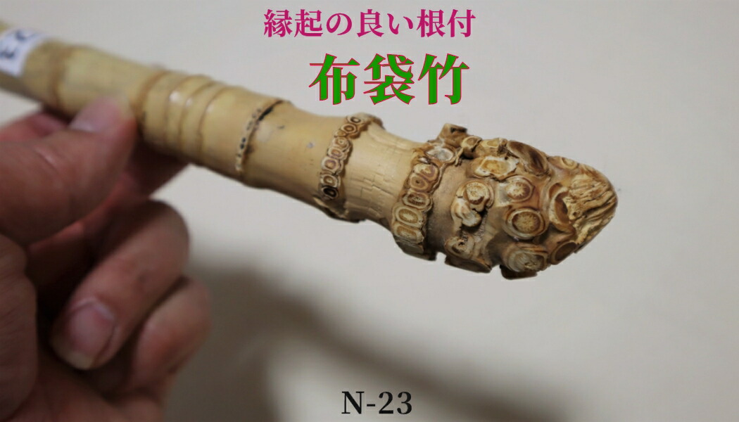 達磨の杖縁起物珍しい竹全て手彫り世界に一つ
