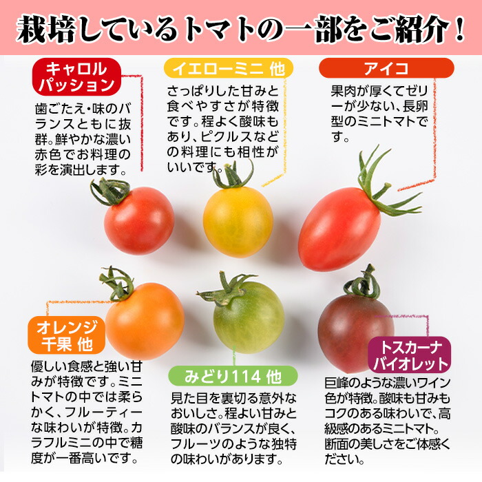 楽天市場】【ふるさと納税】＜内容量が選べる！＞カラフルトマト食べ