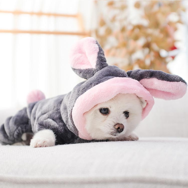 楽天市場】送料無料 ドッグウェア うさぎ 冬 ふわふわ 犬服 ペット