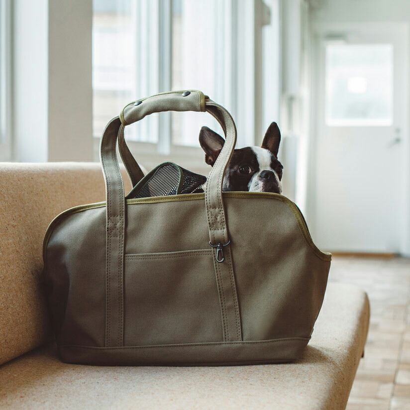 楽天市場】犬 キャリーケース 犬 キャリー犬 猫 キャリーケース