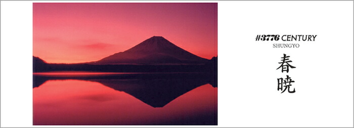 楽天市場】【PLT71】【PLATINUM/プラチナ】＃3776 CENTURY 14金万年筆