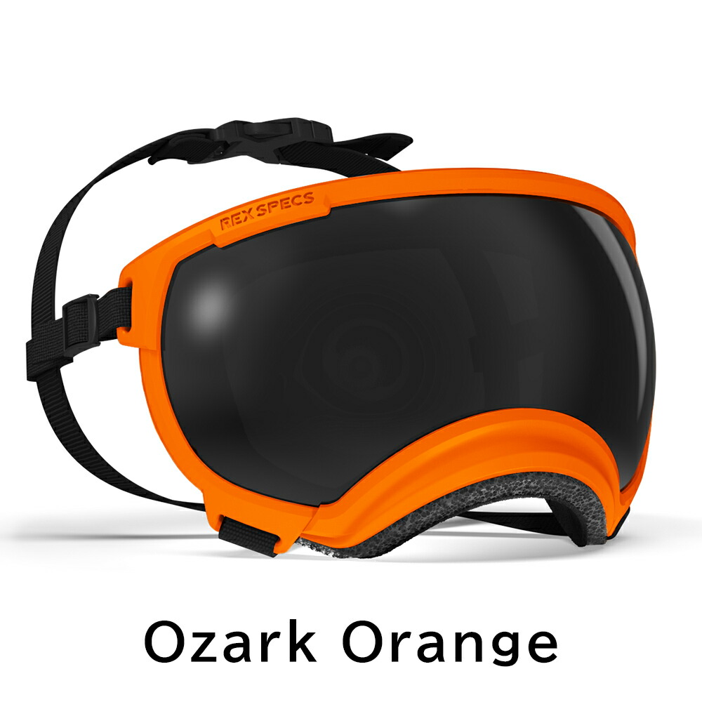 楽天市場】REXSPECS V2 ドッグゴーグル : アイコンズ スーパーストア