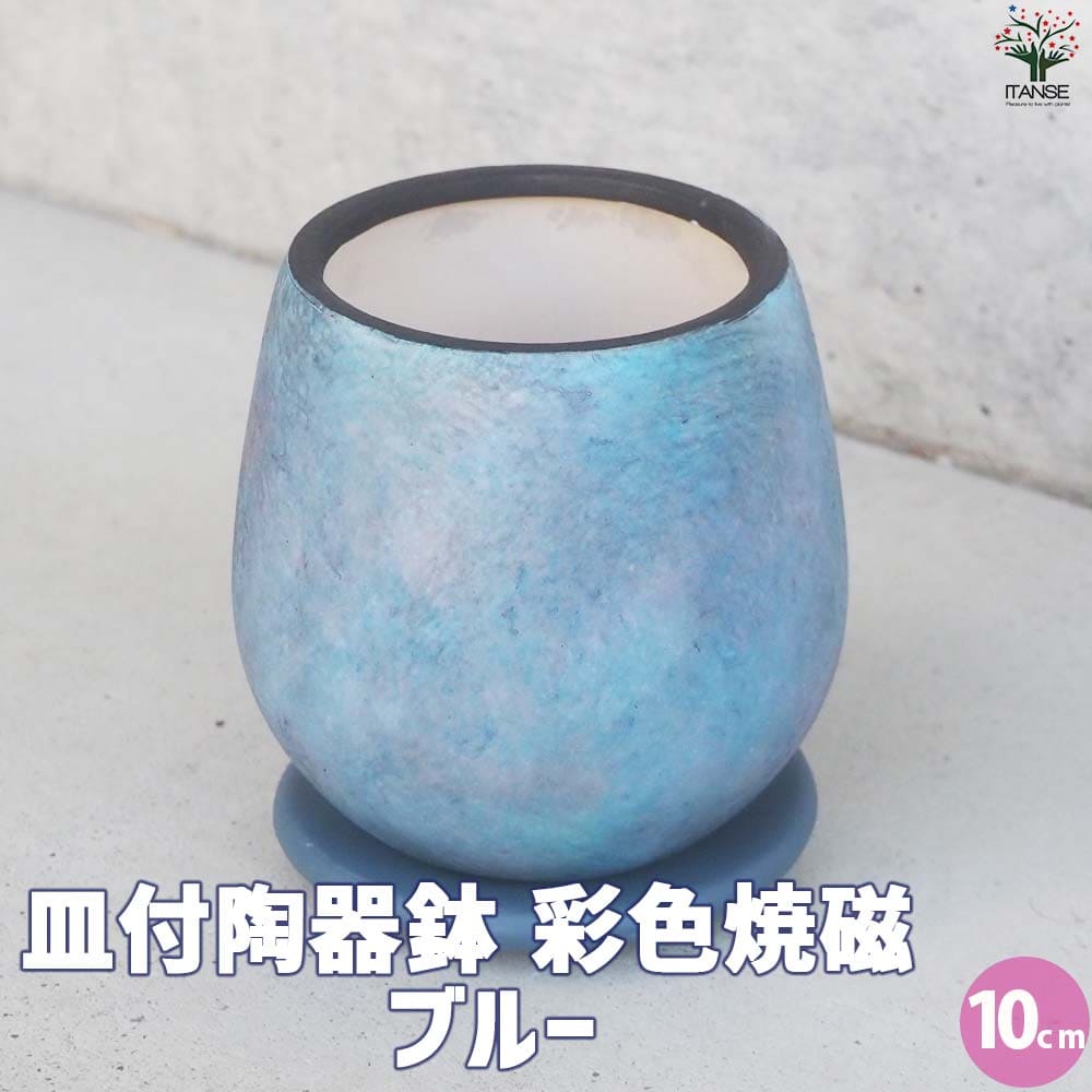楽天市場】ブルー 青（植木鉢・プランターカバー｜植木鉢・プランター