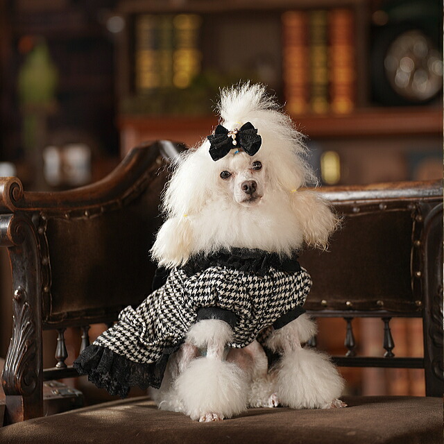 楽天市場】犬服 秋服 きゃんナナ 千鳥格子エレガントワンピース SS-L