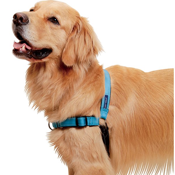 楽天市場】デラックス イージーウォークハーネス○MLサイズ／L