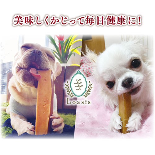 大型犬向け】ヒマラヤ産のヤクチーズ Lサイズ 15本セット 大型犬向け