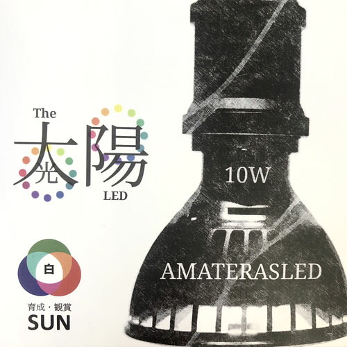 超激レア AMATERASLED 10W LEDライト 4個セット 超お買い得 AMATERAS