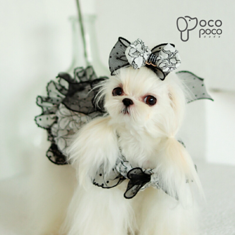 ブラックレース オーダーページ ∞TuTu∞ 犬服 ハンドメイド 犬の洋服
