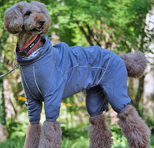 楽天市場】【在庫限り】【セール品につき返品・交換不可】Hurtta 犬服